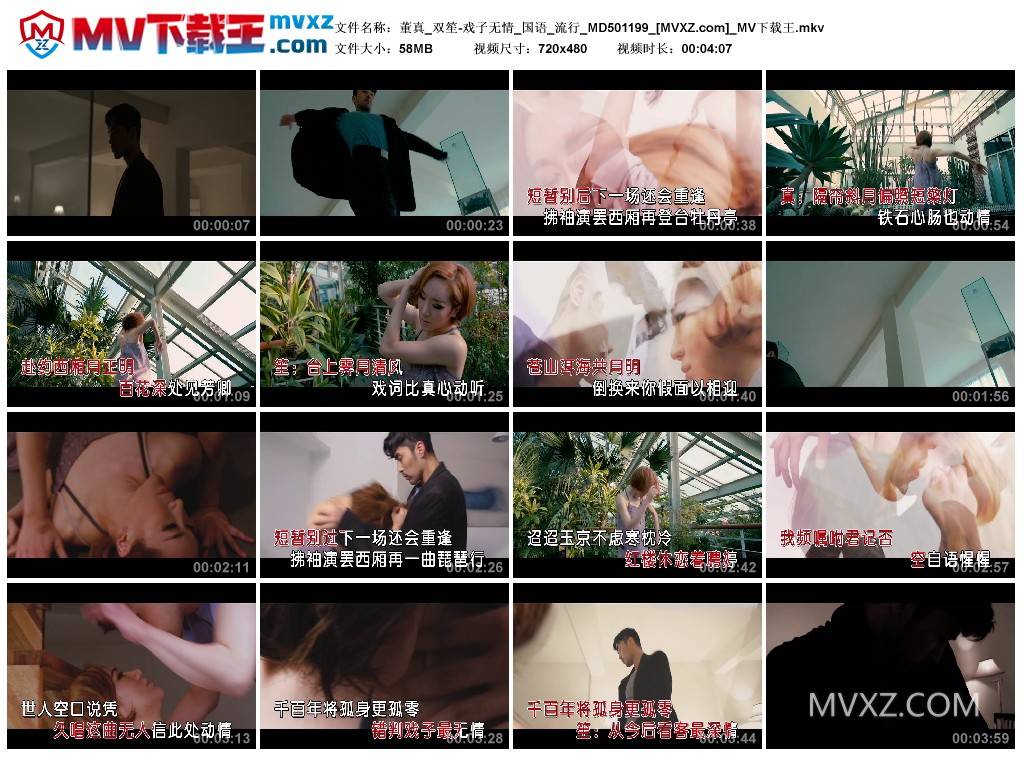 董真_双笙-戏子无情_国语_流行_MD501199